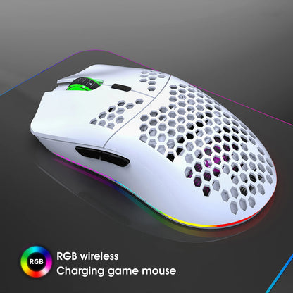 Ergonomic Design Wireless Gaming Mouse