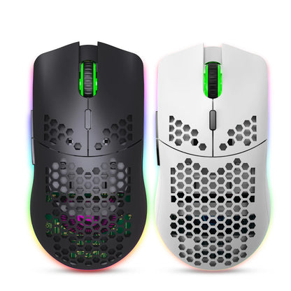 Ergonomic Design Wireless Gaming Mouse